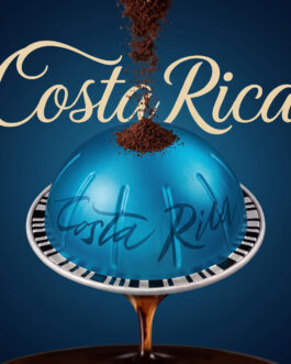Vertuoline Master Origins Costa Rica Coffee Capsules, Intensity 7